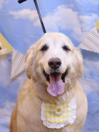 20240326みるくちゃん